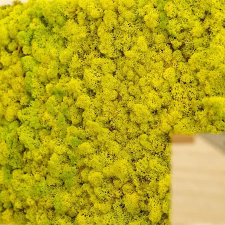 住宿加早餐酒店 Sud Est 13 3*